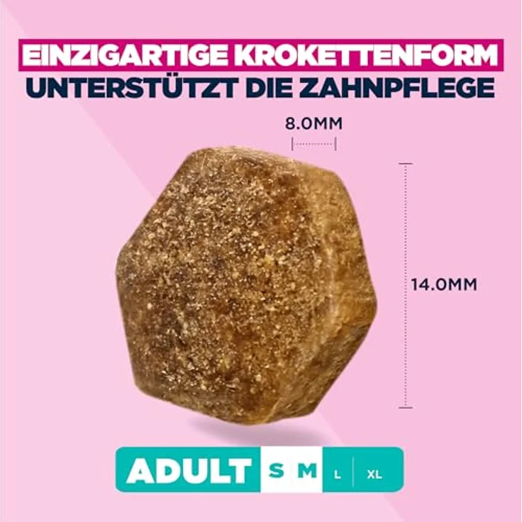 Eukanuba Hundefutter Trocken mit Lachs und Gerste, Premium für kleine und mittelgroße Rassen, 12 kg, mit L-Carnitin und DentaDefense – Bild 4