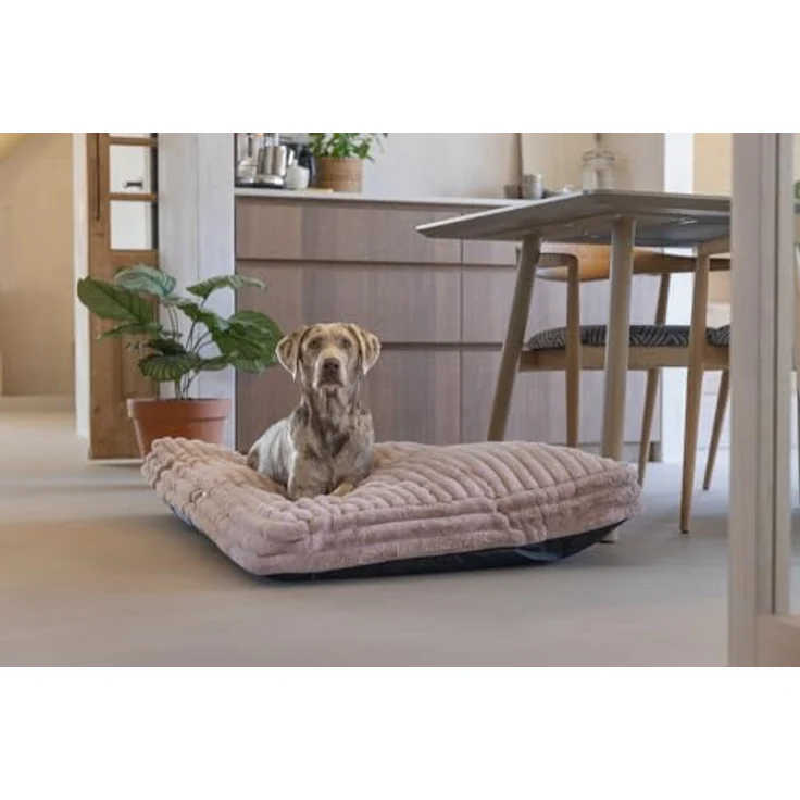 Designed By Lotte Tierkissen Hundekissen Reza rosa - Stilvolles Liegekissen mit dicker gerippter Stoff und rutschfester Unterseite – Bild 2