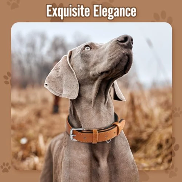 Grand Line Leder Hundehalsband, Verstellbares, gepolstertes Halsband für kleine, mittlere und große Hunde, Braun, Größe S – Bild 2