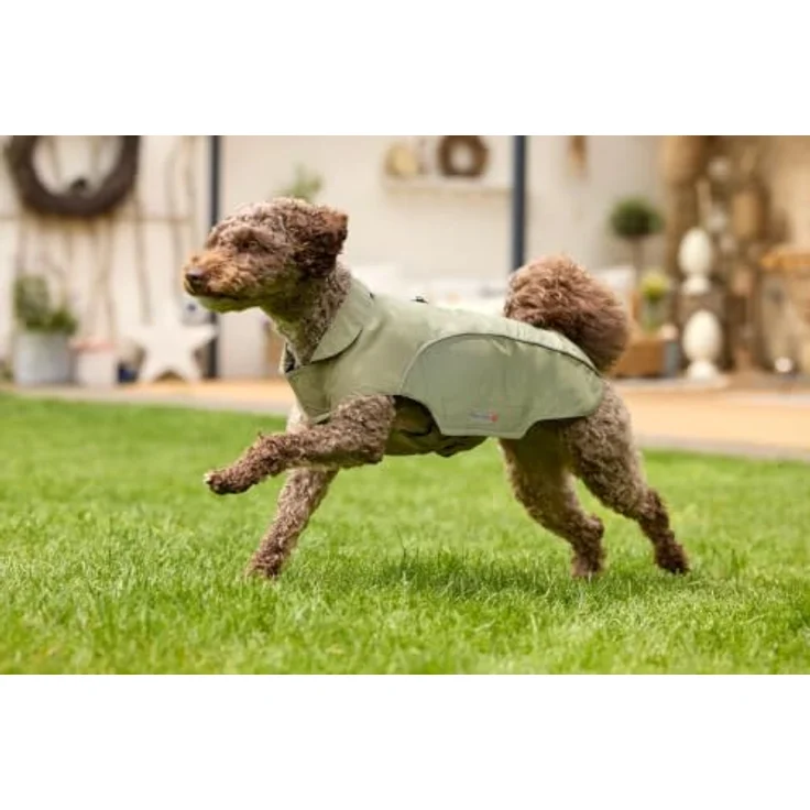 Wolters Regenjacke Easy Rain für Dackel, wasserdicht bis 10.000 mm, EcoElite-Imprägnierung, moosgrün – Bild 4