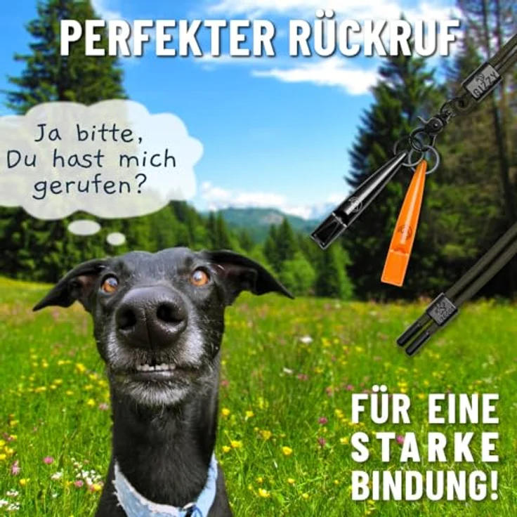 GIZZY® 2X Hundepfeife, lauter & weitreichender Pfeifton, ideal für Hundetraining, inkl. Band (orange) – Bild 2