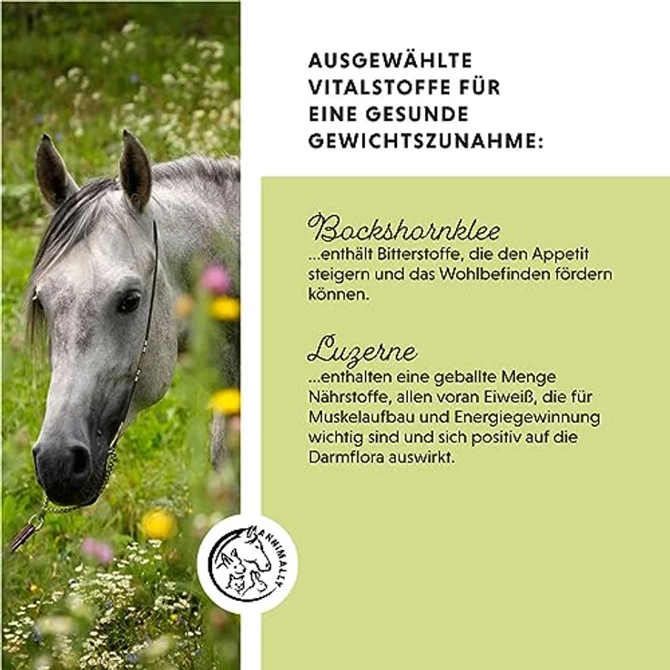 Annimally Weight Gainer Pulver für Pferde, Aufbaufutter mit Sojaprotein, Hanföl, Bockshornklee, Luzerne & Pfefferminze, vegan, ohne Zuckerzusatz, für Gewichts- und Muskelaufbau – Bild 4