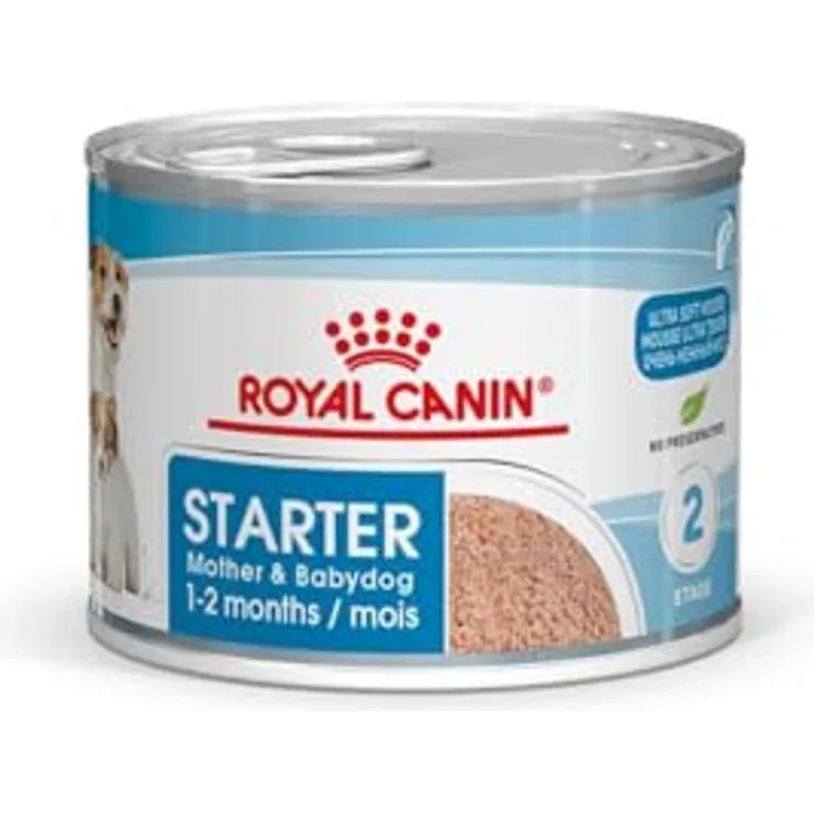 Royal Canin Starter Mousse Mother & Babydog, 12 x 195 g, Ultra Soft Mousse Feuchtnahrung für Hündinnen in der Trächtigkeit und Säugezeit