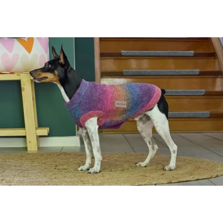 WOLTERS Strickpullover Rainbow, wärmender Hundepullover aus elastischem Strickmaterial, Größe: 20 cm – Bild 4