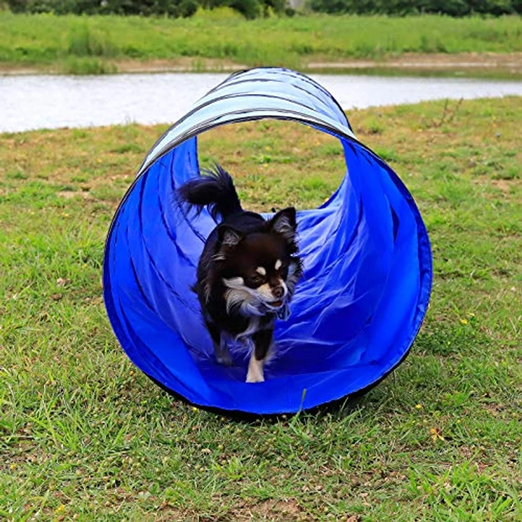 lionto Outdoor Tunnel für Hunde, 200x40 cm, Faltbarer Agility Tunnel mit Heringen aus reißfestem Material, blau – Bild 2