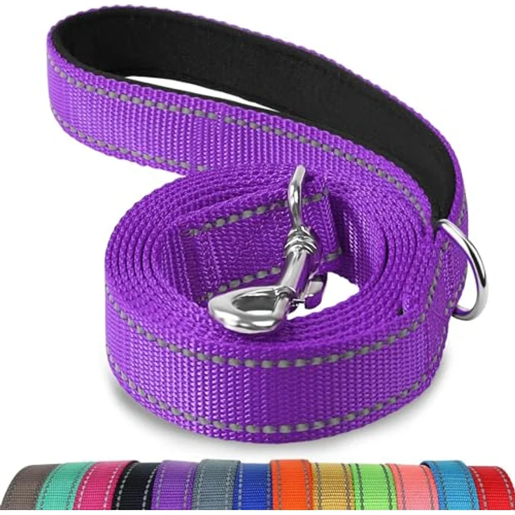 Joytale Hundeleine für kleine Hunde, 1,8m leicht, doppelseitig reflektierend aus Nylon mit gepolstertem Griff, Lila – Bild 1
