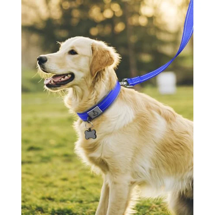 Joytale Halsband für Hunde, Gepolstert aus Neopren, Reflektierend, Für große Hunde, Königsblau – Bild 3
