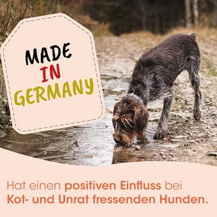 cdVet Moor, 1,8 kg Pulver zur Unterstützung der Magen-Darm-Tätigkeit bei Hunden, Katzen und Pferden – Bild 5