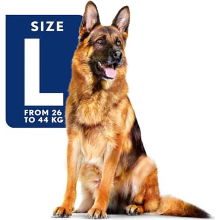 Royal Canin MAXI Adult 5+, Trockenfutter für ältere große Hunde (26-44kg), 4kg – Bild 9