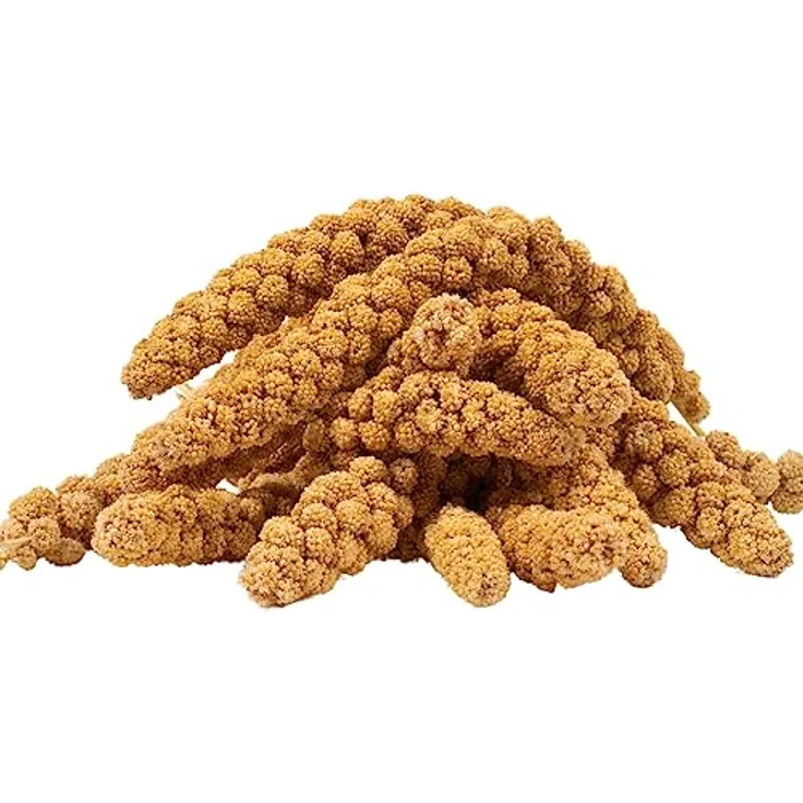 Lyra Pet® Kolbenhirse gelb 5 kg, ganzjähriges Vogelfutter für Ziervögel & Wildvögel, handverlesen, nährstoffreich, ideal für Wellensittiche & Kanarienvögel