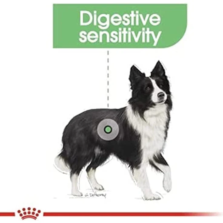 Royal Canin Digestive Care Medium, Trockenfutter für mittelgroße Hunde mit empfindlicher Verdauung, 12 kg – Bild 6