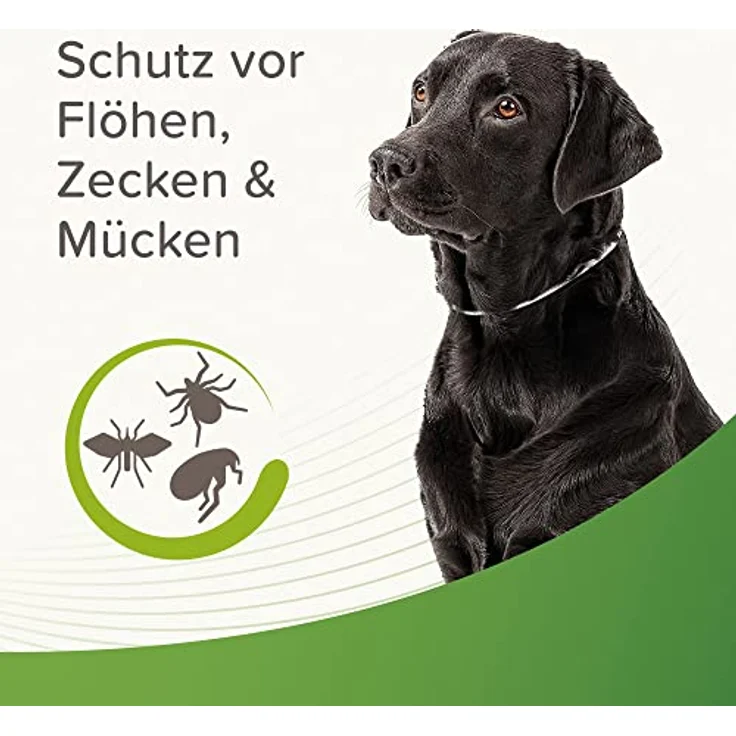 Beaphar Zecken- und Flohschutz Halsband reflektierend für Hunde, 65cm, wetterfest, 4 Monate Schutz – Bild 3