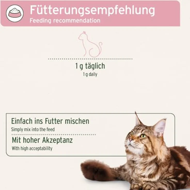 AniForte 4in1 Complete Cat, Katzenfutter mit Kollagen, Taurin und Topinambur, 60g – Bild 5