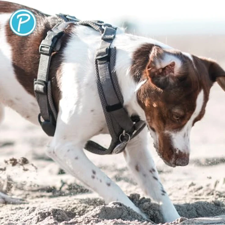 Petlando Hundegeschirr Y-Comfort, gepolstert, stufenlos verstellbar, atmungsaktiv & ergonomisch für große Hunde, anthrazit, Größe L – Bild 5