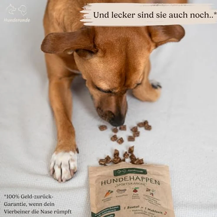 Hunderunde Hundehappen Schlafmütze, vegane Hundeleckerli mit Hanf, Baldrian & Kamille, 3x125 g, glutenfrei & beruhigend, ideal für sensible Hunde – Bild 3