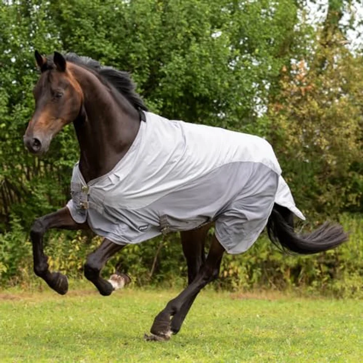 Busse Outdoordecke RAINFLY, gefüttert mit Satinfutter, 420 D Polyester, strapazierfähiges Polyester-Mesh, Doppel-T-Hakenverschluss – Bild 1
