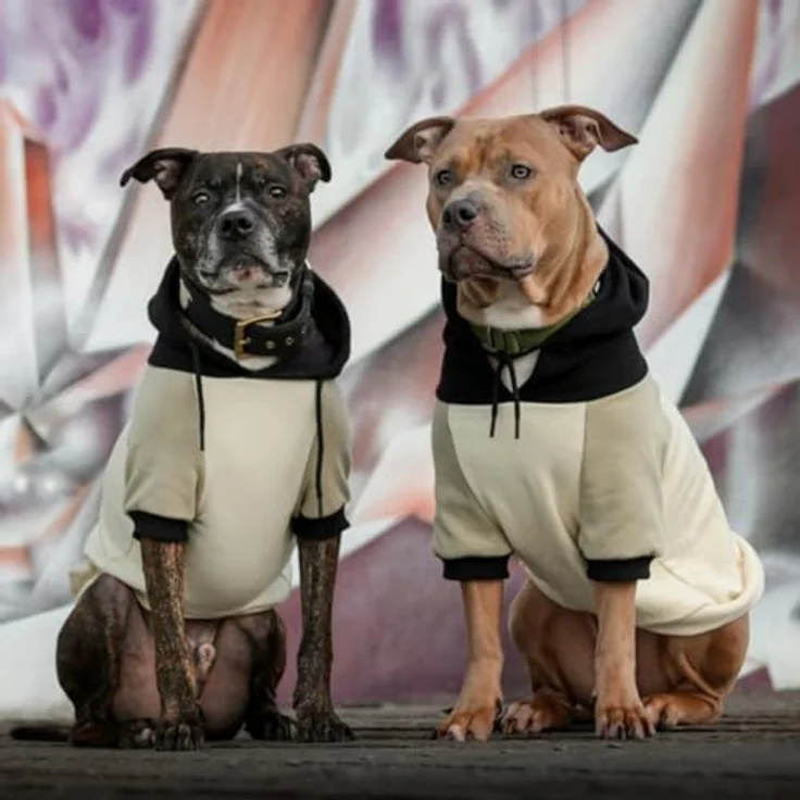 Spark Paws Hunde-Kapuzenpullover XL, Premium-Qualität mit beruhigendem Fleece-Innenfutter, Olive Cream, ideal für große Rassen – Bild 4