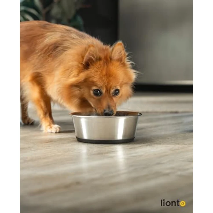 lionto Futternapf Edelstahl 950 ml, lebensmittelechter Hundenapf mit rutschfestem Silikonboden, spülmaschinenfest für Hunde und Katzen – Bild 2