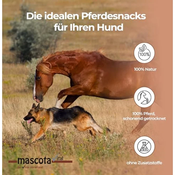 mascota vital Pferde-Lunge 200g, 100% Pferd, schonend getrocknet, hypoallergen und leicht verdaulich, weiche Konsistenz – Bild 3