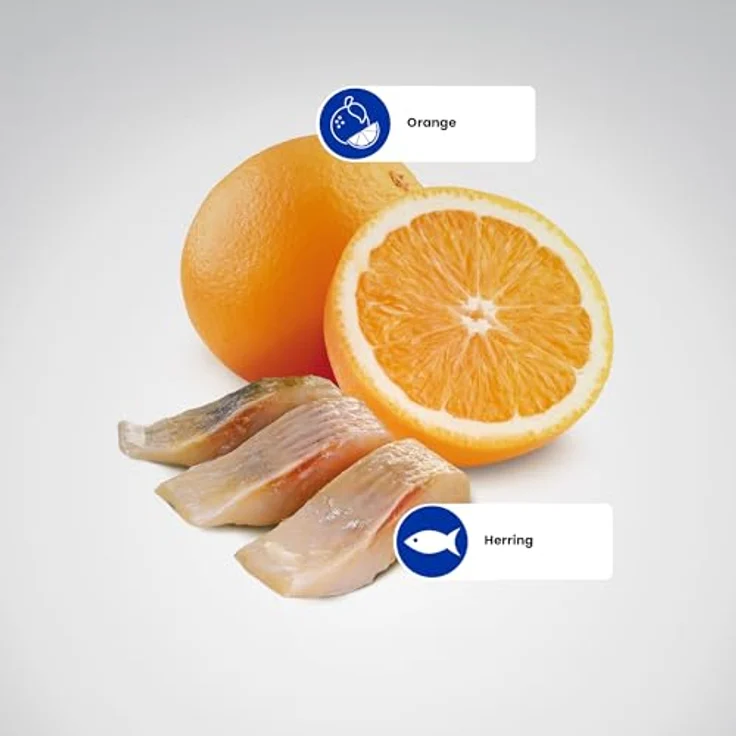 Farmina Ocean Hareng & Orange, Katzen-Trockenfutter für adulte Katzen, 5,00 kg – Bild 4