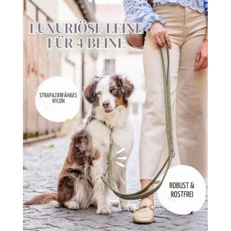 Rudelkönig Führleine Bella, Verstellbare Hundeleine für Kleine Hunde, 2,30m, Khaki-Design mit gepolsterten Kanten und stabilen Metallkarabinern – Bild 2