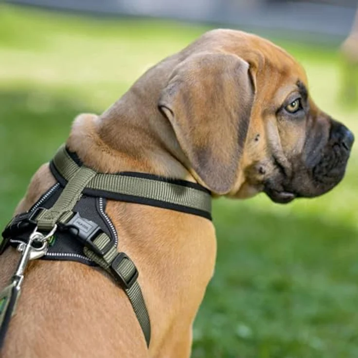 Hunter Hunde-Geschirr Neopren oliv-schwarz M 2 – Bild 3