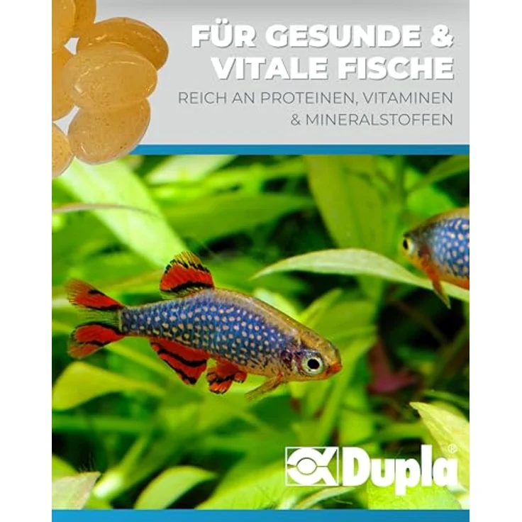 Dupla Gel-O-Drops Cyclops I 12 x 2 g, Geleefischfutter mit Ruderfußkrebsen, leicht dosierbares und nährstoffreiches Aquarienfutter, ungekühlt lagerbar – Bild 3