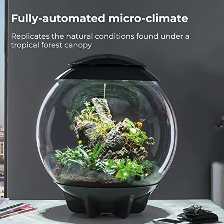 biOrb Terrarium AIR (60 l, Weiß), geschlossenes Mikroklima mit automatischer Luftfeuchtigkeitsregelung und intelligentem LED-Lichtzyklus – Bild 5