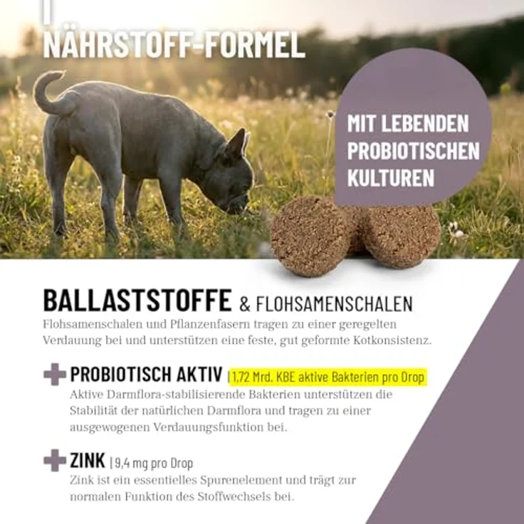 ReaVET Analdrüsen Unterstützung Hund, 350g (140 Drops) – Flohsamenschalen, Ballaststoffe & lebende Kulturen – Getreidefrei für feste Kotkonsistenz – Bild 3