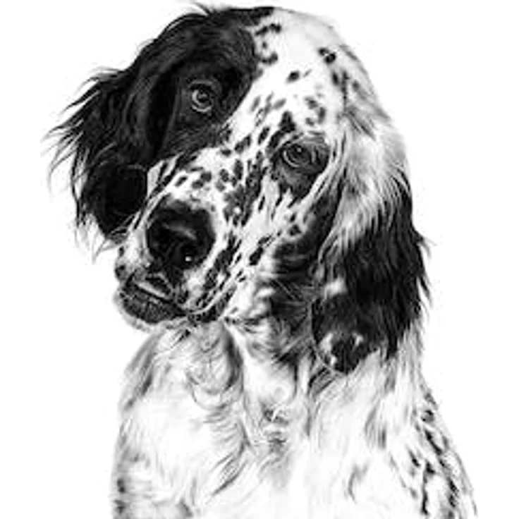 Royal Canin Veterinary Satiety Weight Management, Hundefutter zur Gewichtsreduktion und Muskelmasseerhalt, 1,5 kg – Bild 5