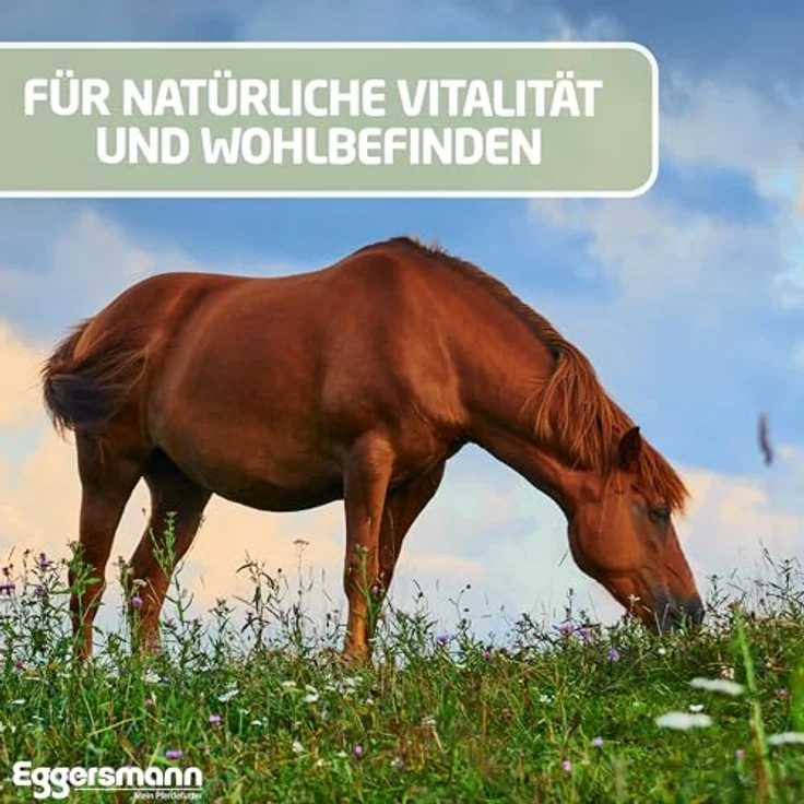 Eggersmann Mein Pferdefutter ReVital Cubes, getreidefreies Ergänzungsfutter mit essentiellen Nährstoffen, 25 kg – Bild 4