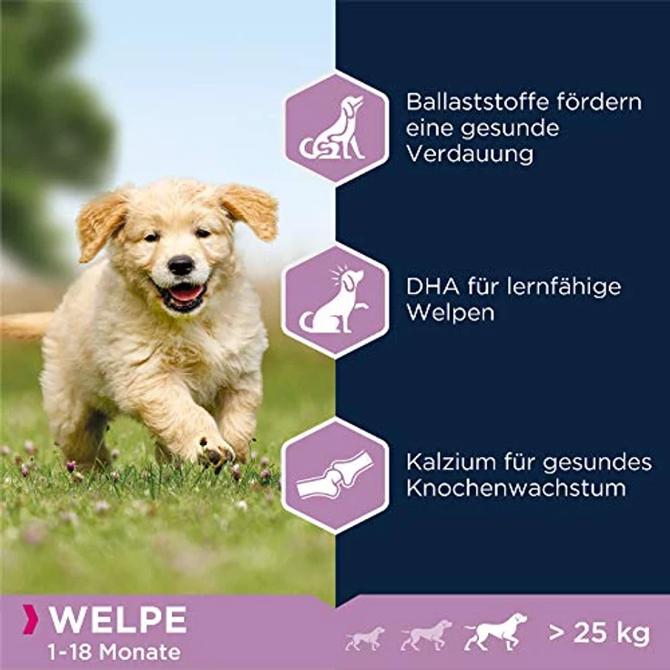Eukanuba Welpenfutter mit Lamm & Reis, Trockenfutter für große Rassen, 12 kg - für Junior Hunde, mit DHA und Omega-3- und Omega-6-Fettsäuren – Bild 5