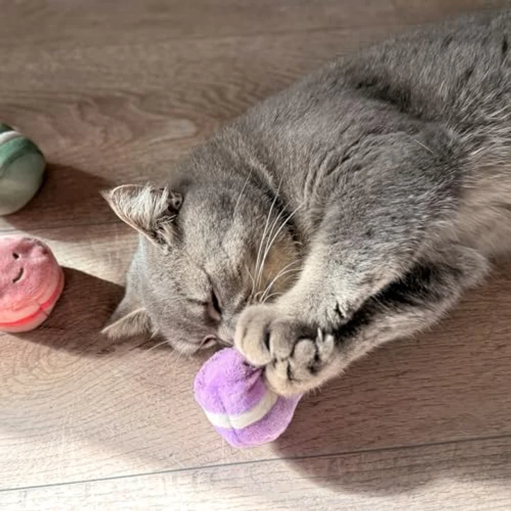 Aumüller Katzenspielzeug Macarons 3er Set, Plüsch mit Katzenminze und Silver Vine, bunt – Bild 3