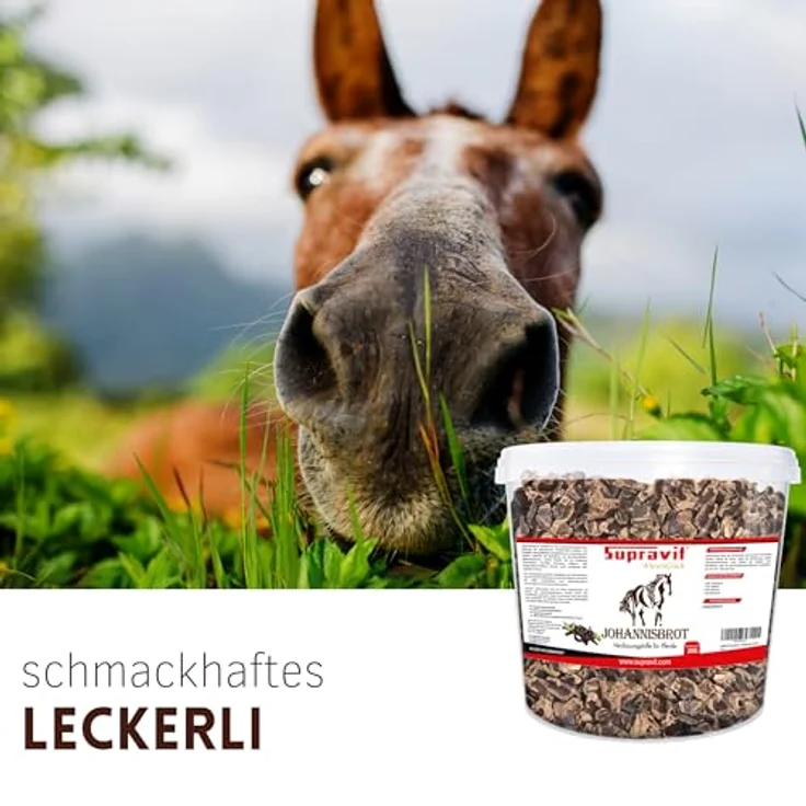 Supravit Johannisbrot 2kg, naturreines Carob Pferdefutter, ballaststoffreicher Pferdesnack ohne Zusatzstoffe im wiederverschließbaren Eimer – Bild 4