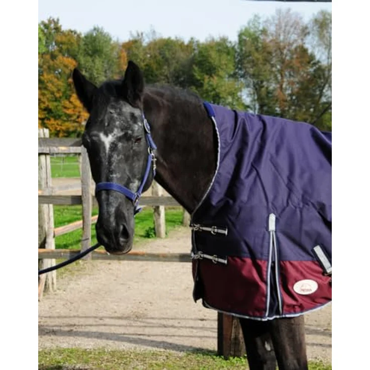 AMKA Pferde Weideoutdoordecke HIGH Neck 1200D, 50 g Füllung, wasserdicht und atmungsaktiv, dunkelblau/weinrot, mit Kreuzgurten und Schweiflatz – Bild 2