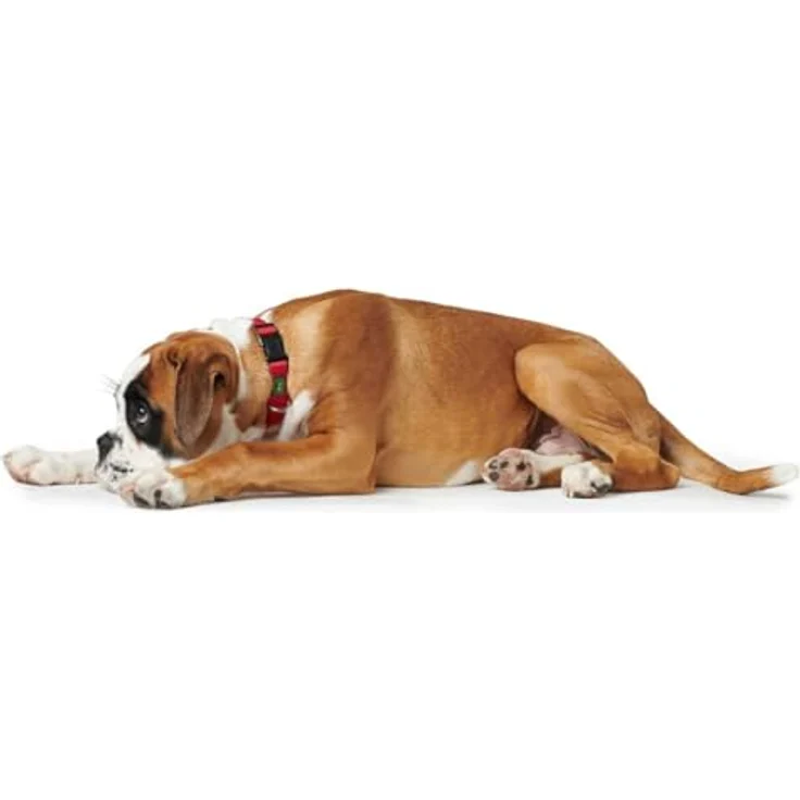 Hunter Hunde-Halsung Vario Basic rot S 1 – Bild 3