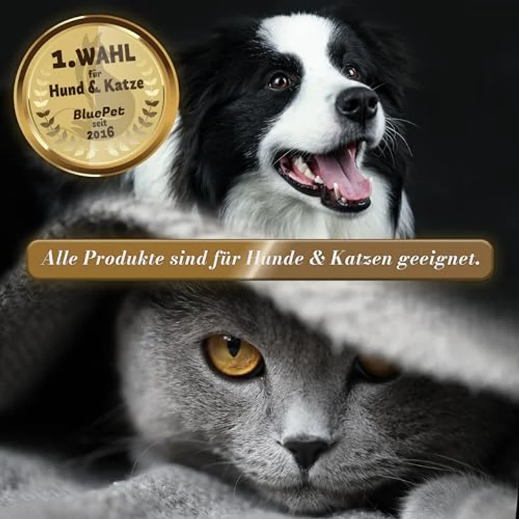 BluePet Krallenschere mit Schutz für Hunde & Katzen, Einsteigerfreundlich, inkl. integrierter Krallenfeile, sicherer Halt für kleine & große Krallen – Bild 5
