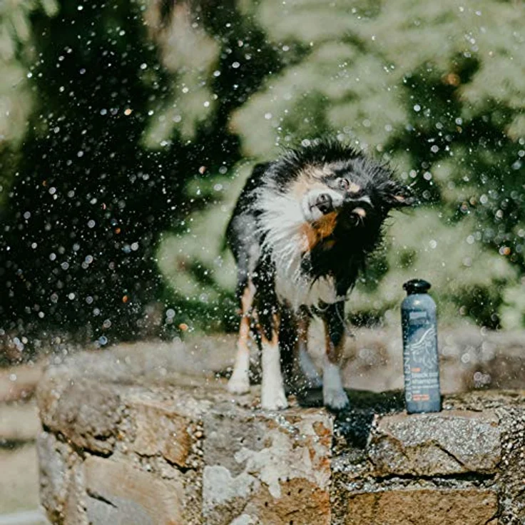 Greenfields 3887 Shampoo für Hunde mit schwarzem Fell, 250ml – verstärkt die natürliche Fellfarbe, pflegt und sorgt für glänzendes, weiches Fell, parfumfrei und pH-neutral – Bild 2