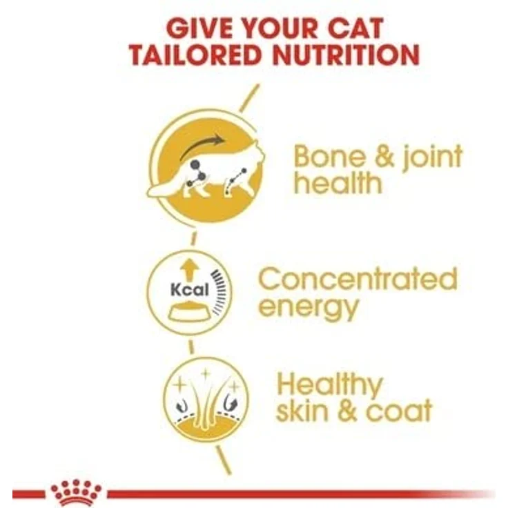 Royal Canin Maine Coon Adult, Nassfutter für Katzen, 12x85g, speziell abgestimmt auf die Ernährungsbedürfnisse von Maine Coons – Bild 4
