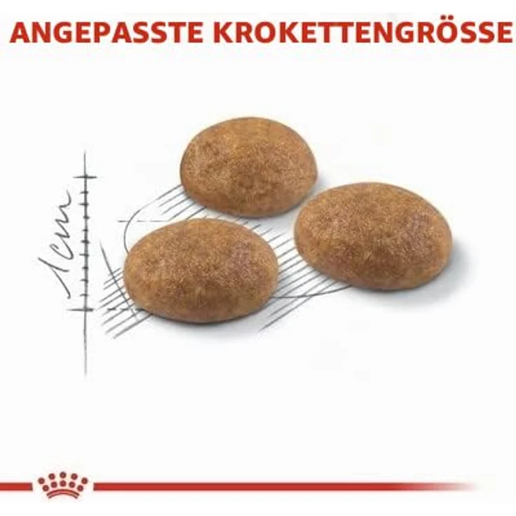 Royal Canin Outdoor Katzenfutter, 10 kg, energiereiche Nahrung für aktive Katzen mit Unterstützung der Immunabwehr und Darmgesundheit – Bild 3