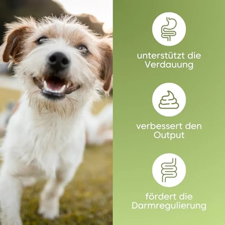 pfotenkumpels Bauchtanz Hundesnack – Verdauungshilfe mit Insektenprotein, Pflanzenkohle und Kräutern, hypoallergen und kaltgepresst 200g – Bild 2