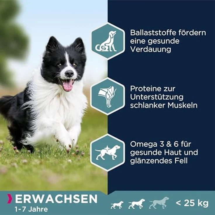 Eukanuba Hundefutter mit Lamm & Reis für kleine und mittelgroße Rassen, Trockenfutter für ausgewachsene Hunde, 12 kg, leicht verdaulich mit DentaDefense System – Bild 4