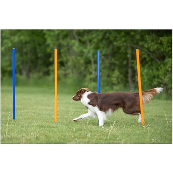 Trixie Dog Activity Agility Slalom, Kunststoff 115xø 3 cm, 12 St. blau-orange – Bild 4