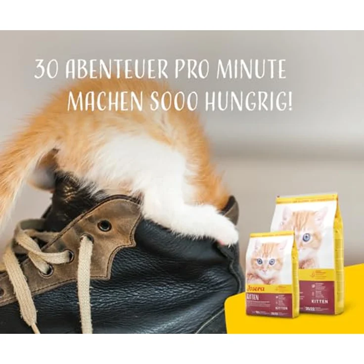 JOSERA Kitten Trockenfutter, 2 kg, glutenfrei, mit Lachs & Geflügel, für heranwachsende Katzen und Katzen-Mütter, leicht verdaulich, made in Germany – Bild 5