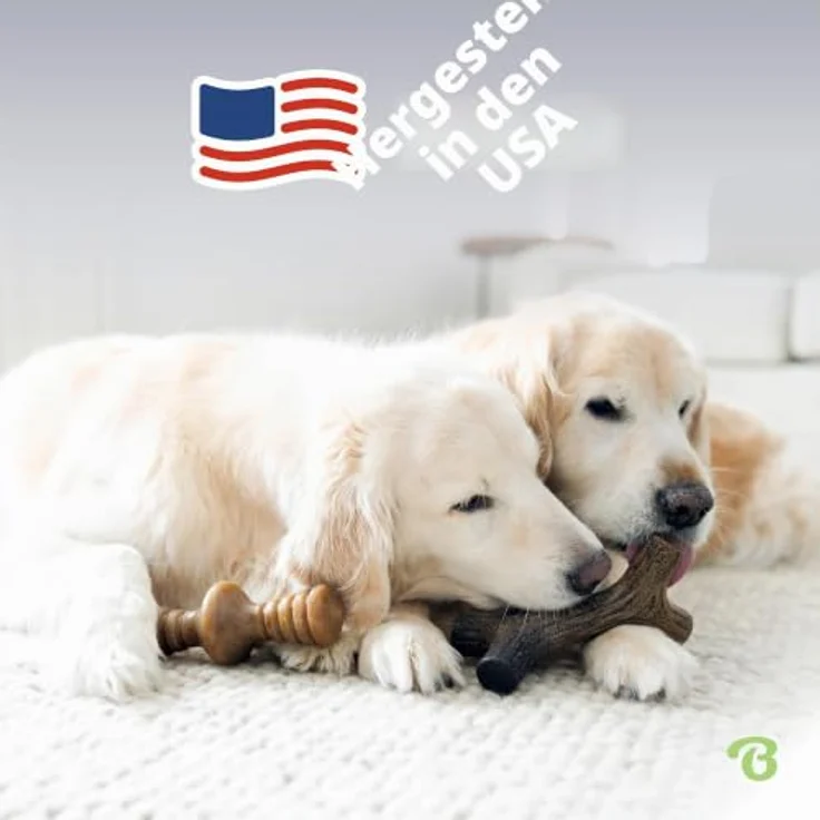 Benebone 2-Pack Indestructible Maplestick/Zaggler, Für große Hunde, aus echtem Speck und Ahornholzgeschmack, robust und langlebig, in den USA hergestellt – Bild 5