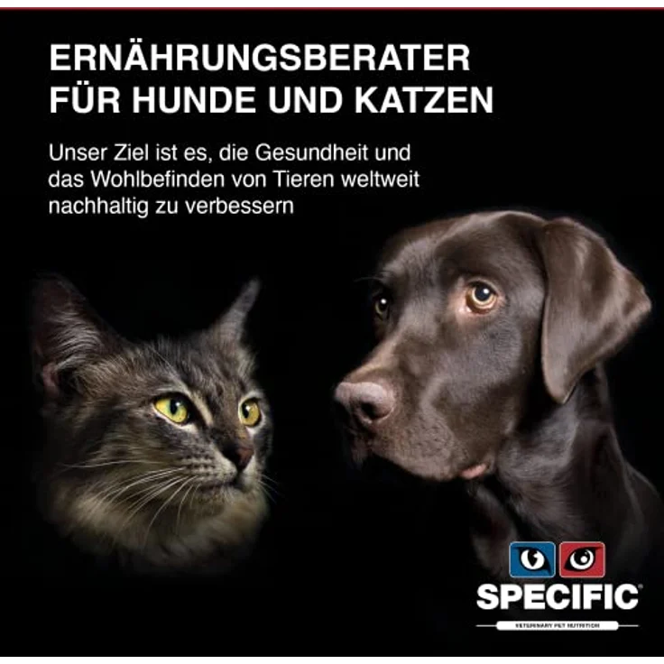 SPECIFIC® Digestive Support (FIW) 7x100g, Nassfutter für Katzen zur Verbesserung der Darmflora, hoher Vitamin- und Mineralstoffgehalt, mit Postbiotika, für alle Altersklassen, DECHRA Veterinary Products – Bild 5