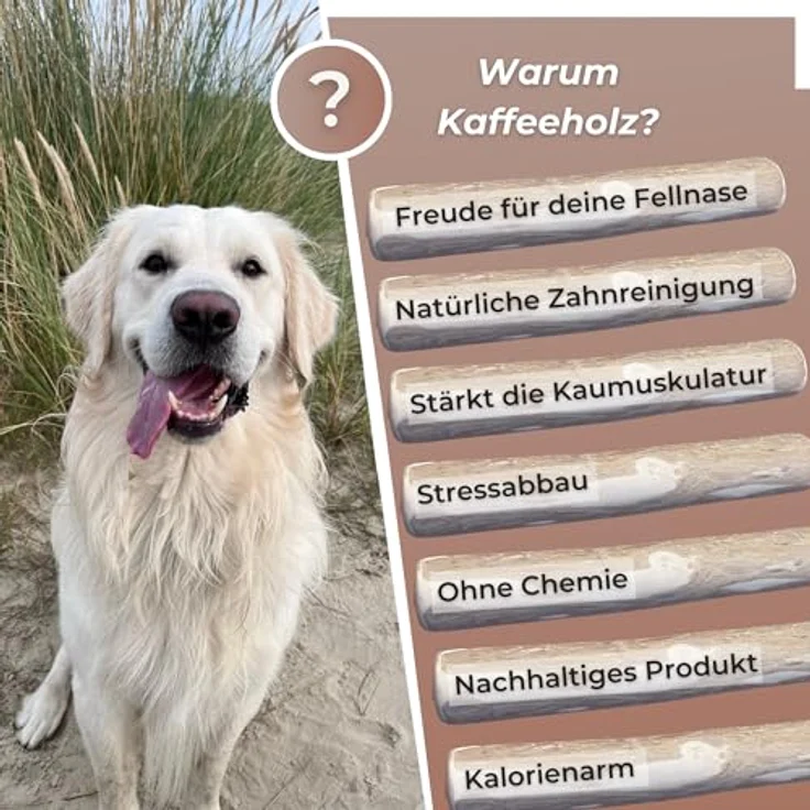 ZOYS Kaffeeholz für Hunde, Natürlicher Kauknochen L zur Zahnreinigung & Zahngesundheit, langlebig & risikoarm, 100% natürlich, perfekt für große Hunde – Bild 4