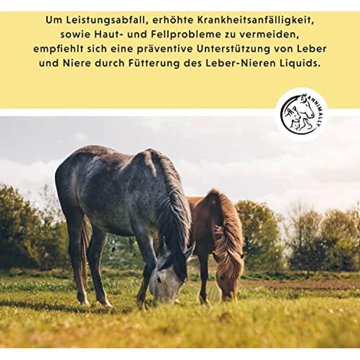 Annimally Leber Nieren Liquid für Pferde, 1000ml Kräutersaft mit Mariendistel & Artischocke zur Unterstützung der Leber- und Nierenfunktion – Bild 2
