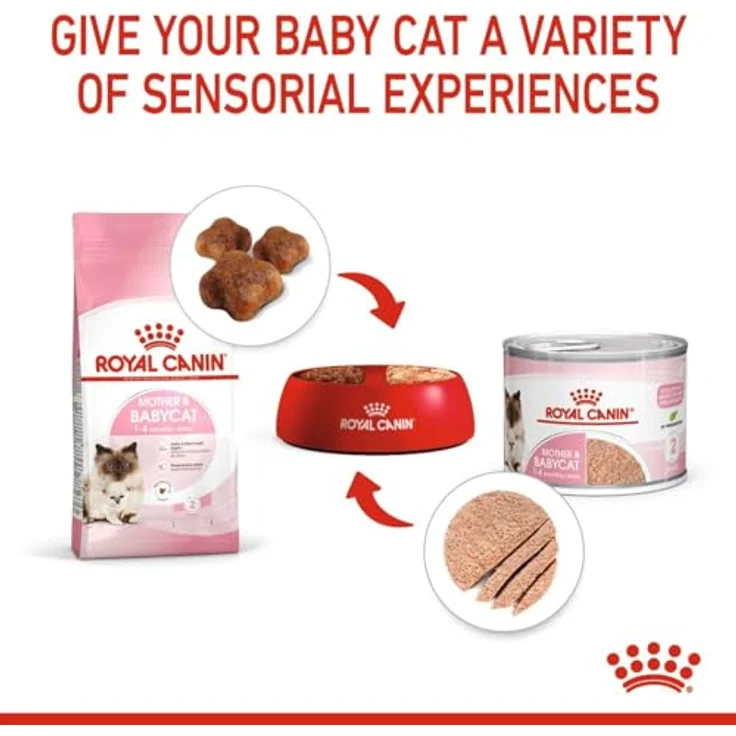 Royal Canin Mother & Babycat Mousse, 12 x 195 g, Alleinfuttermittel für Mutterkatzen und Welpen, unterstützt Abwehrkräfte und Gehirnentwicklung – Bild 2