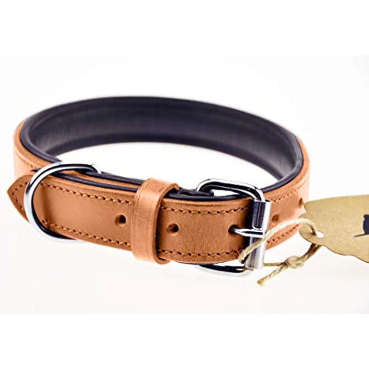 Schnüffelfreunde Hundehalsband aus Leder, gepolstert und robust für große, mittlere und kleine Hunde, XL (46-55 cm), beige – Bild 4